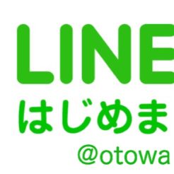 宇都宮　ライン査定　オトワリバース