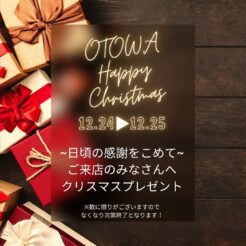 宇都宮　クリスマスプレゼント　オトワリバース