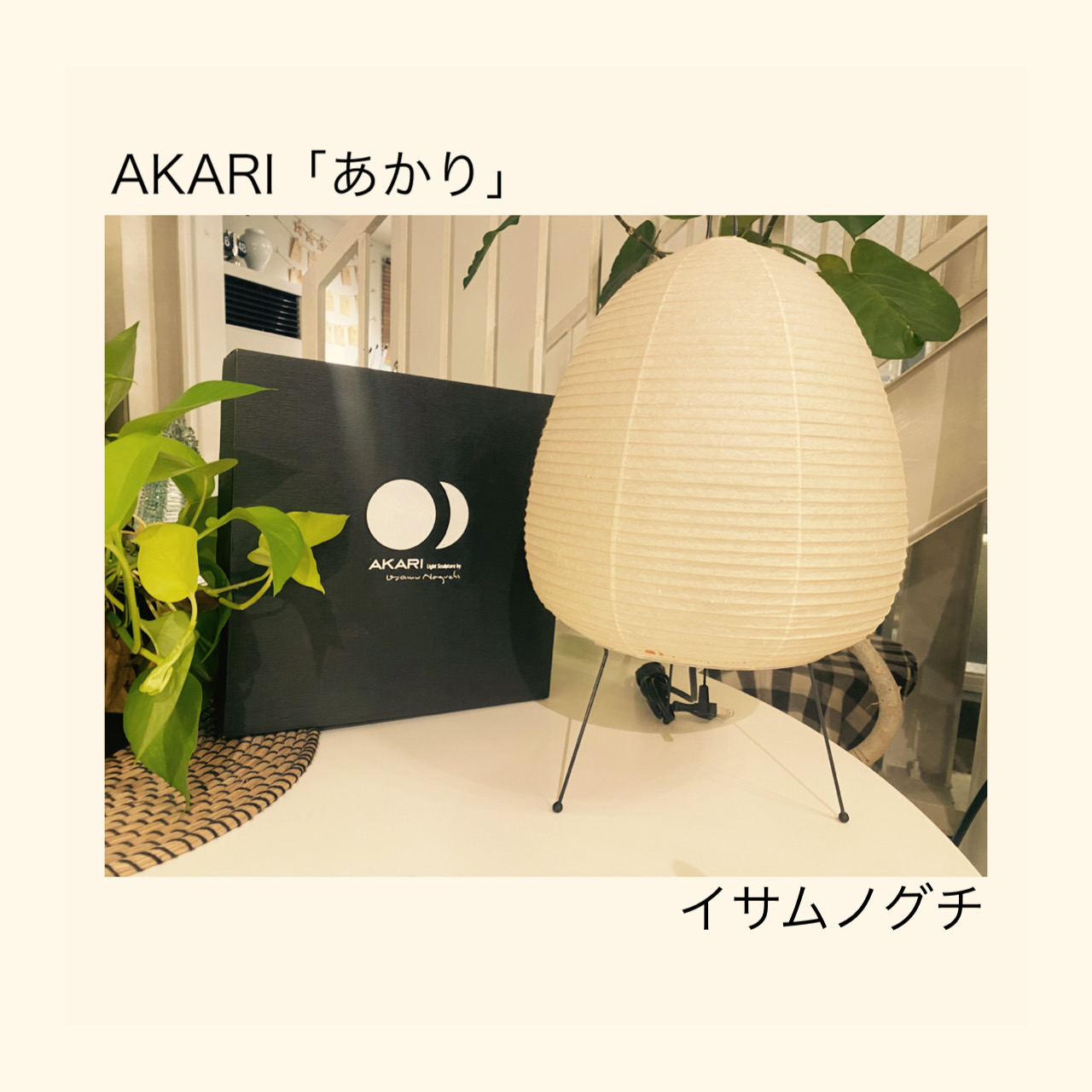 イサム・ノグチ AKARI アカリ 10A リプロダクト品 9 - フロアスタンド